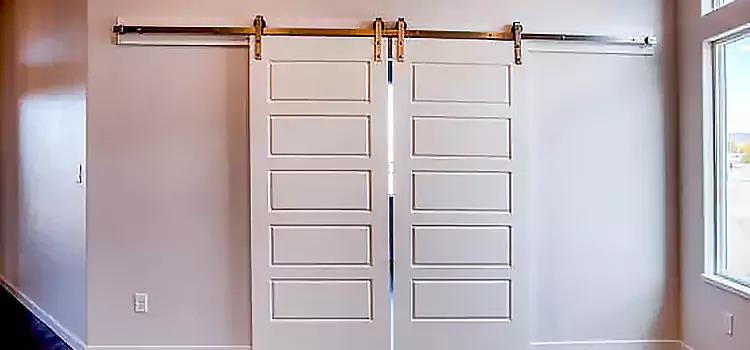 Glass Barn Door with Installation Hardware Kit Arvin