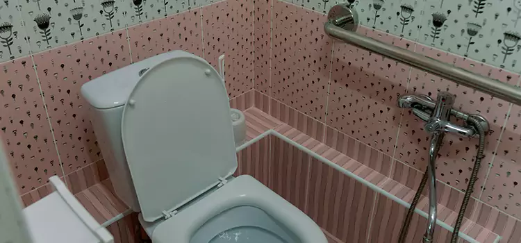Meeting Diverse Needs With Accessible Restroom Solutions in Arvin, CA