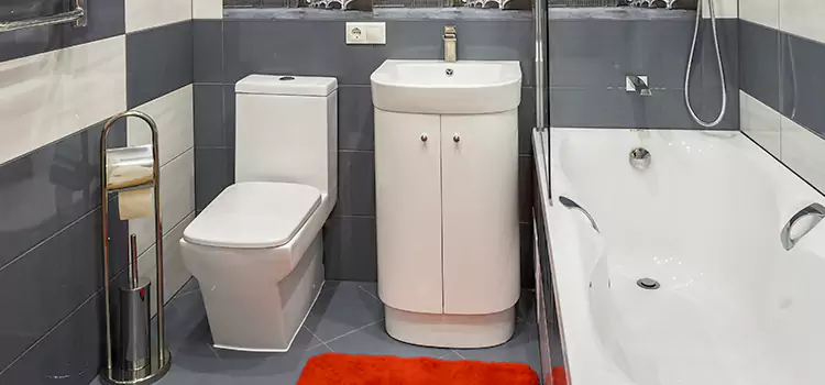 Hansgrohe Shaving Mirror Arvin